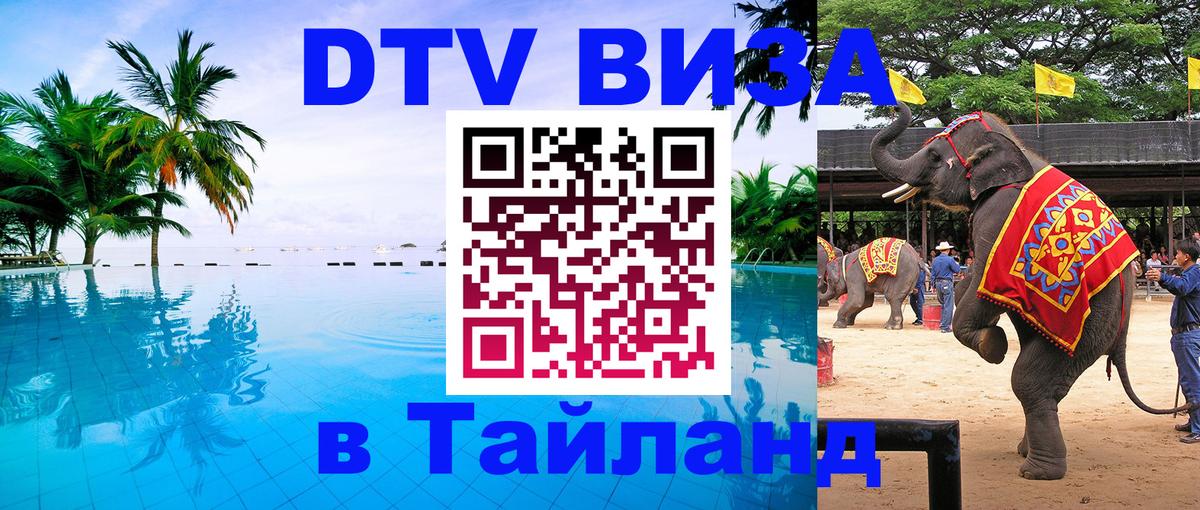 Сколько стоит DTV виза — актуальные цены, оформление даже без документов - 